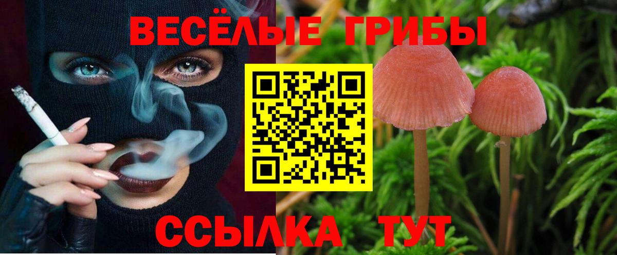 Галлюциногенные грибы Magic Shrooms Рыбинск