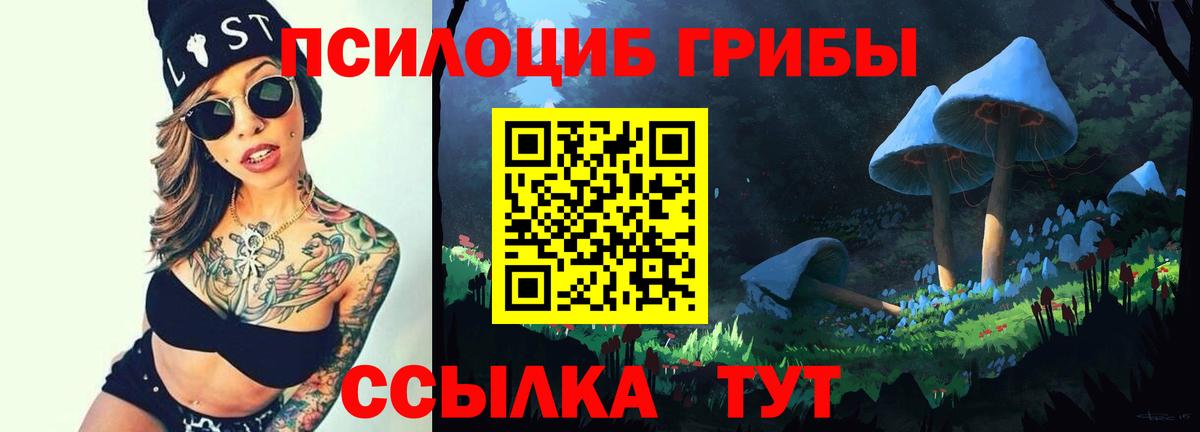 Галлюциногенные грибы Cubensis  Вход с VPN  Рыбинск  Галлюциногенные грибы прущие грибы 
